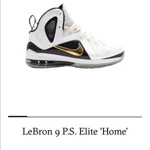 Elite Lebron9 P.S. ‘Home’